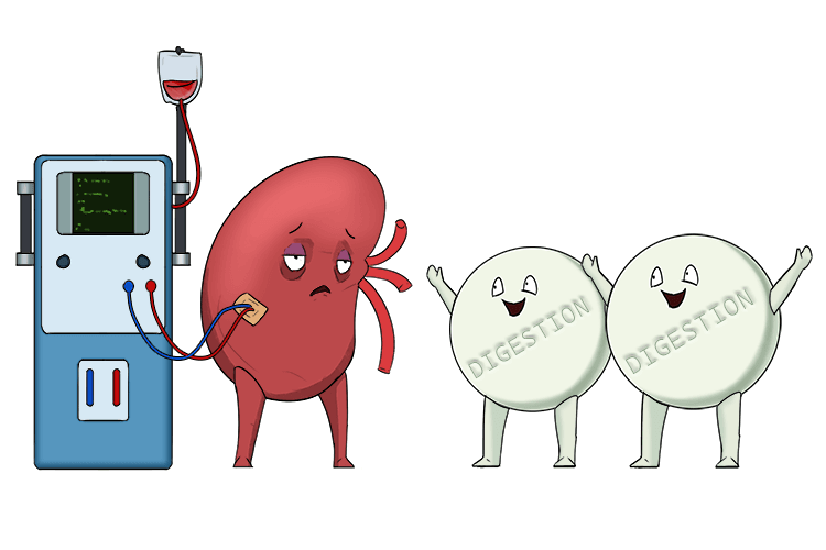 She couldn't live her (liver) life without the machine that filters blood and her friends the digestion tablets